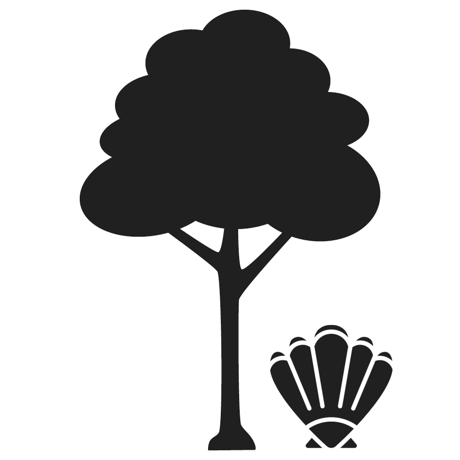 Tree and clam